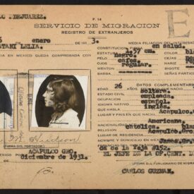Hudson Batani. Los datos personales indican que nació en Acapulco, Guerrero, en 1906. Registra su ingreso al país por Acapulco el 3 de diciembre de 1931, siendo Acapulco también su lugar de residencia. La documentación forma parte de la serie de registros de personas clasificadas como "Estadounidenses".